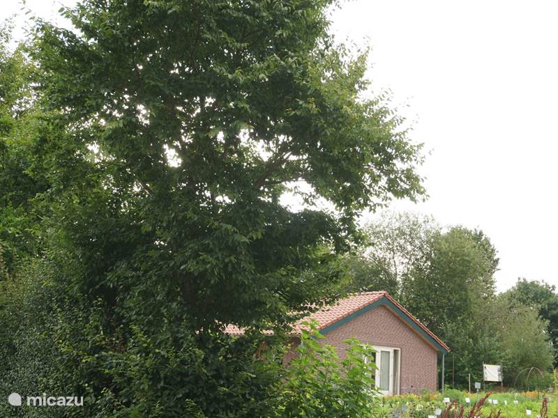 Vakantiehuis Nederland, Limburg, Reuver Vakantiehuis LANDHOEVE VAKANTIEHUIS omheinde tuin