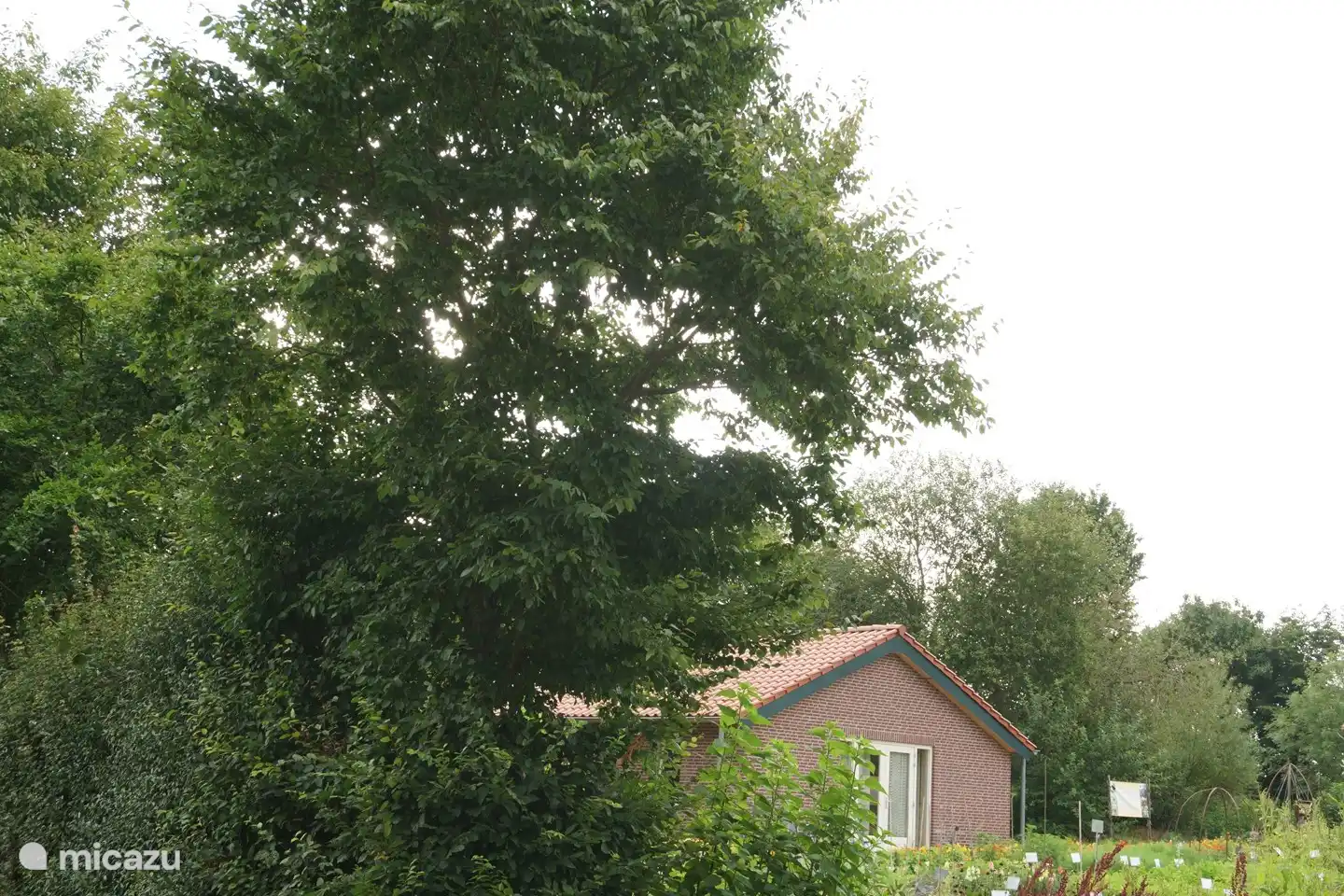 The ruralhut is not located on a holiday park. In the middle of nowhere. With many forest and sandy roads for wonderful walks and dozens of beautiful cycling routes. Dogs welcome (free).