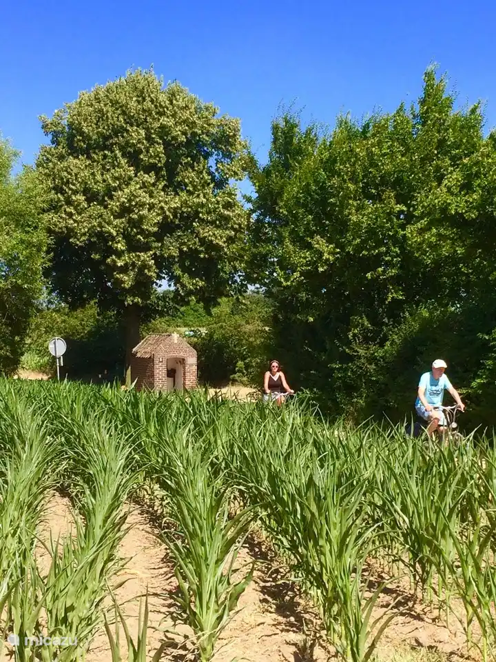 Country farm holiday home.