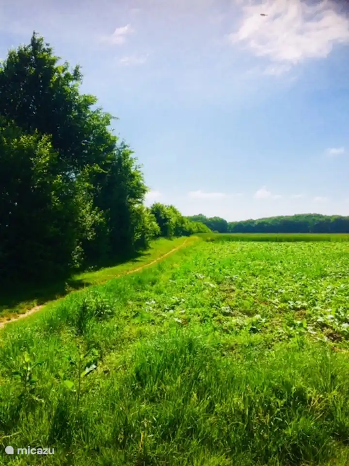 Country farm holiday home.