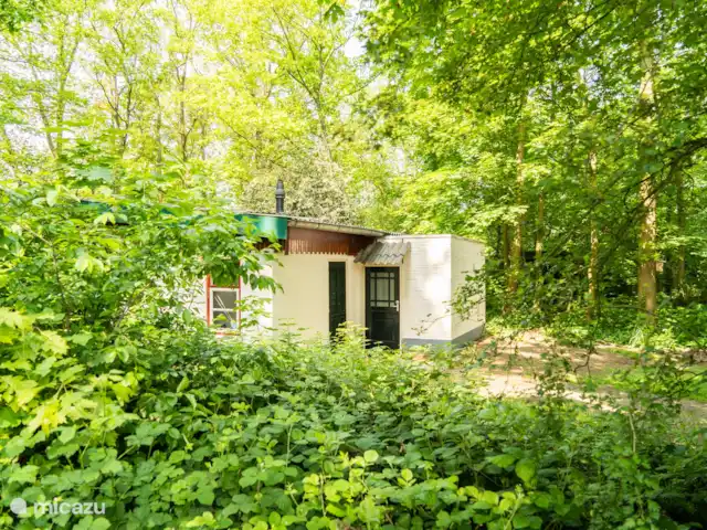 Cabaña en el bosque en Países Bajos, Limburgo, Reuver - casa vacacional Cabaña en el bosque en Países Bajos, Limburgo, Reuver - casa vacacional