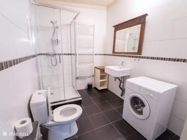 Cabaña en el bosque en Países Bajos, Limburgo, Reuver - casa vacacional baño