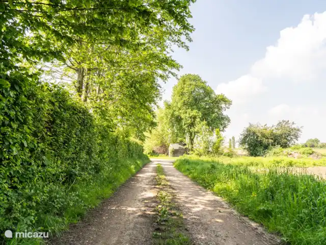 Cabaña en el bosque en Países Bajos, Limburgo, Reuver - casa vacacional Vista exterior