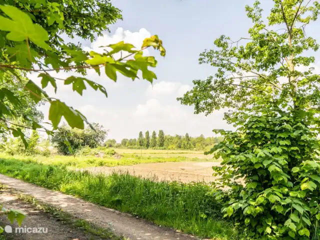 Cabaña en el bosque en Países Bajos, Limburgo, Reuver - casa vacacional Vista exterior