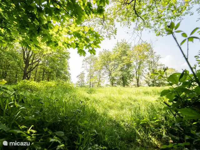 Cabaña en el bosque en Países Bajos, Limburgo, Reuver - casa vacacional Vista exterior