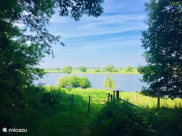 Cabaña en el bosque en Países Bajos, Limburgo, Reuver - casa vacacional casa del bosque