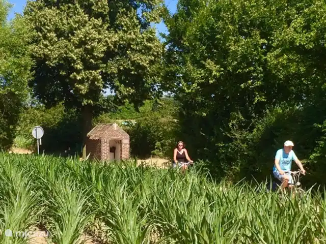 Cabaña en el bosque en Países Bajos, Limburgo, Reuver - casa vacacional casa del bosque