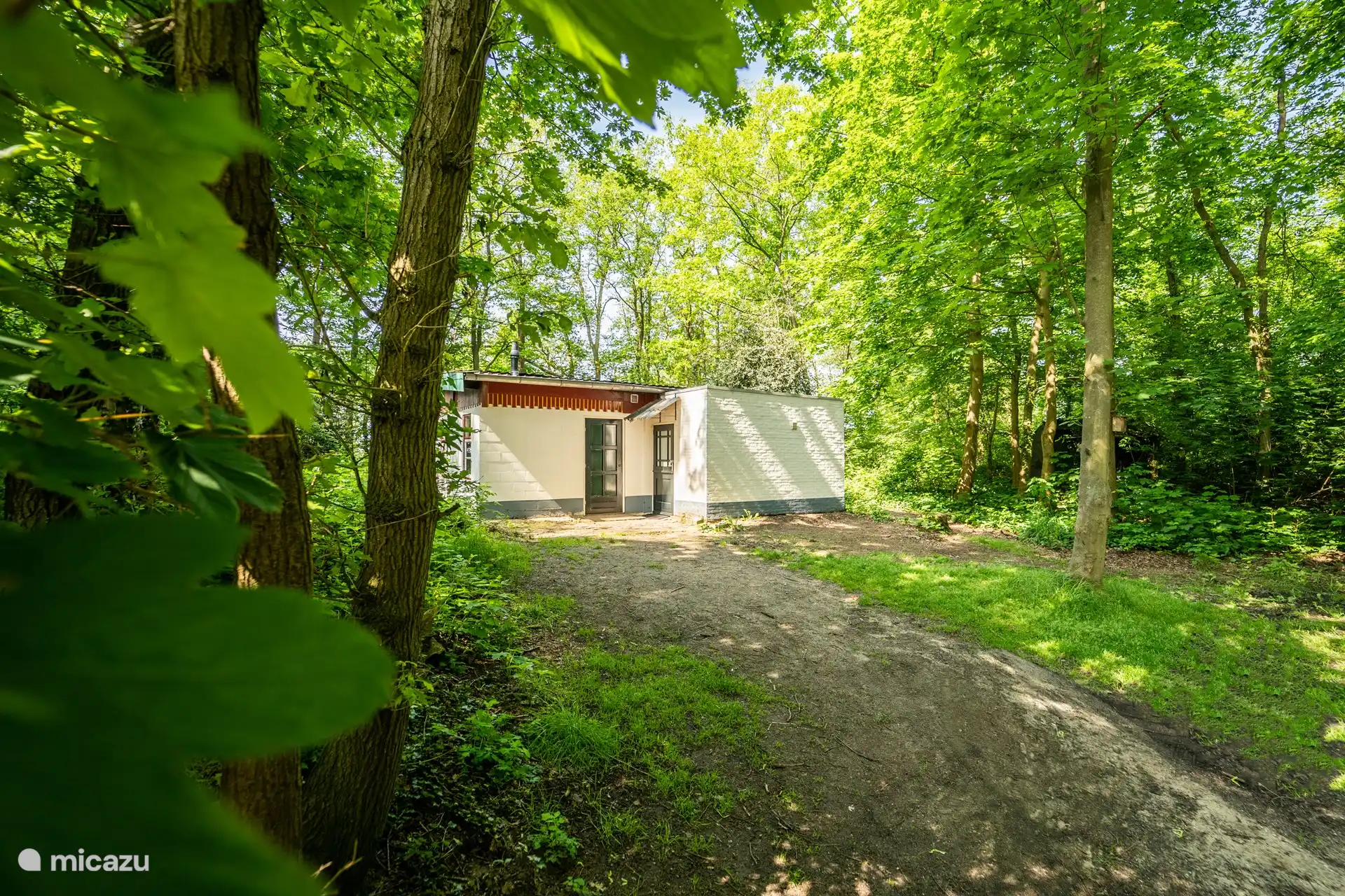 Une réserve naturelle avec blaireaux, renards, chevreuils et castors, près du bras mort de la Meuse et de la Swalm. Votre terrasse surplombe le paysage boisé du Limbourg, où vous serez surpris par les animaux et les plantes. Excellente zone de pêche et de migration des oiseaux.  