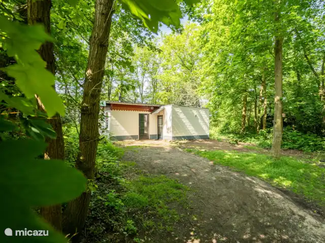 Cabaña en el bosque en Países Bajos, Limburgo, Reuver - casa vacacional Una reserva natural con tejones, zorros, corzos y castores, cerca del brazo muerto del Mosa y el Swalm. Su terraza tiene vistas al paisaje boscoso de Limburgo, donde se sorprenderá con animales y plantas. Excelente zona de pesca y migración de aves.
