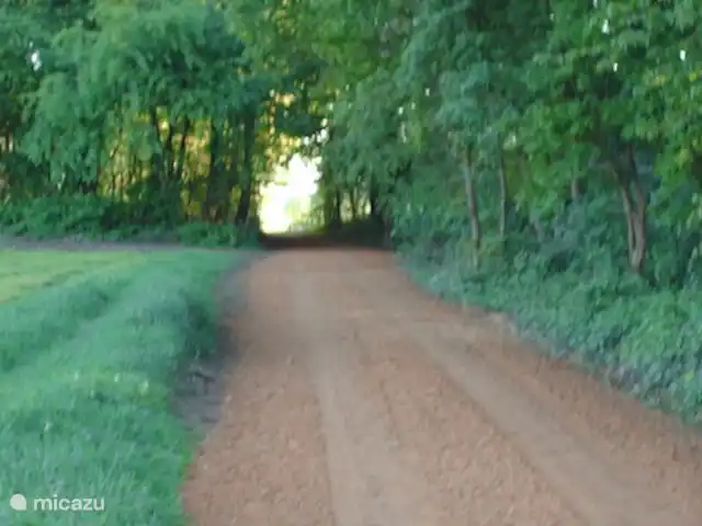 Cabaña en el bosque en Países Bajos, Limburgo, Reuver - casa vacacional casa del bosque