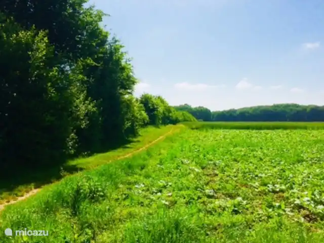 Cabaña en el bosque en Países Bajos, Limburgo, Reuver - casa vacacional casa del bosque