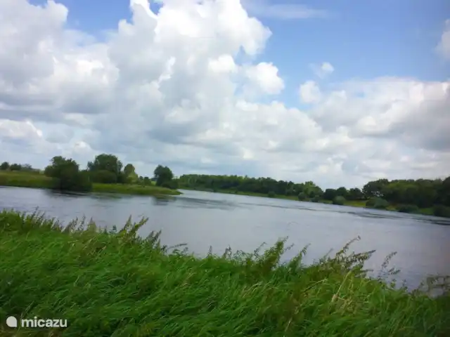 Cabaña en el bosque en Países Bajos, Limburgo, Reuver - casa vacacional casa del bosque
