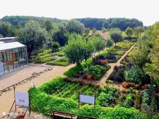Cabaña en el bosque en Países Bajos, Limburgo, Reuver - casa vacacional casa del bosque