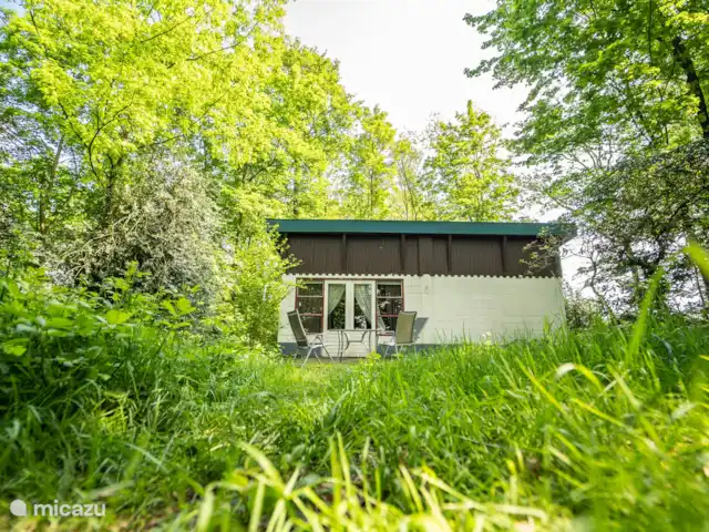 Cabaña en el bosque en Países Bajos, Limburgo, Reuver - casa vacacional Una reserva natural con tejones, zorros, corzos y castores, cerca del brazo muerto del Mosa y el Swalm. Su terraza tiene vistas al paisaje boscoso de Limburgo, donde se sorprenderá con animales y plantas. Excelente zona de pesca y migración de aves.