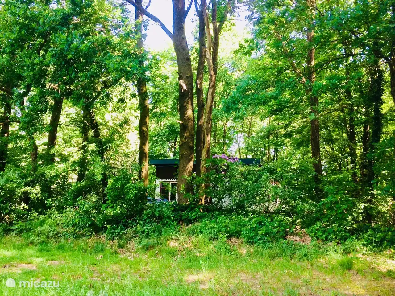 Maison de vacances indépendante dans une réserve naturelle au bord de l'eau. Situation rurale dans le Limbourg, Beesel.