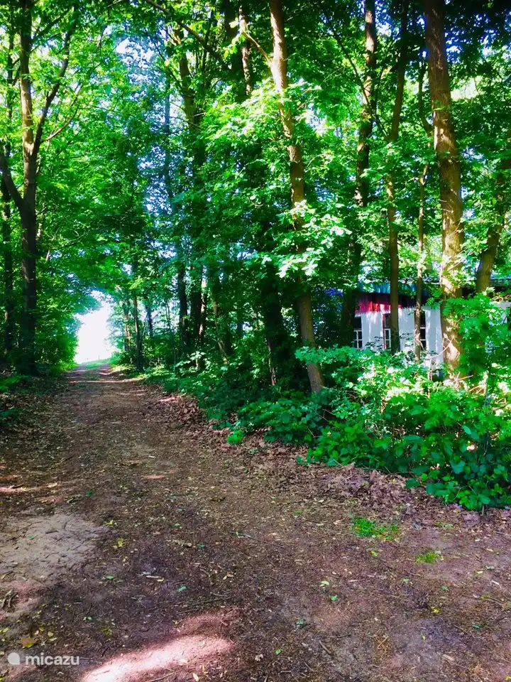 Situé au calme sur 5 hectares de terrain privé avec forêt. Profitez de la paix. De nombreux itinéraires cyclables et pédestres dans le magnifique paysage du Limbourg.