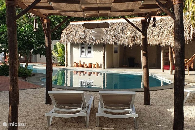 Vakantiehuis Curaçao, Curacao-Midden, Julianadorp Appartement Casa Contento 36 zwembad-zijde