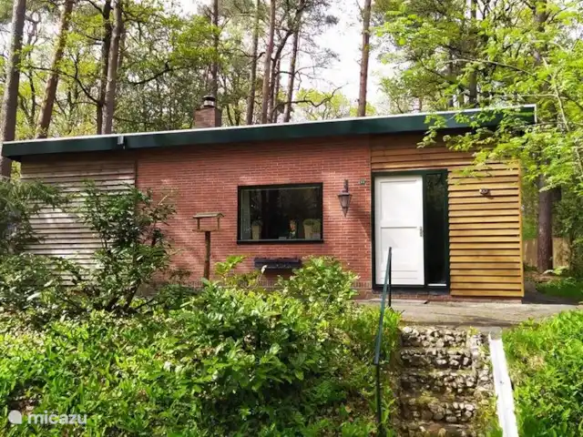 Location de Vacances Pays-Bas, Drenthe, Norg, maison de vacances - Maison de vacances Norg Drenthe Location de Vacances Pays-Bas, Drenthe, Norg, maison de vacances - Maison de vacances Norg Drenthe