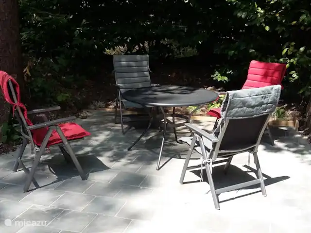 Location de Vacances Pays-Bas, Drenthe, Norg, maison de vacances - Maison de vacances Norg Drenthe Terrasse