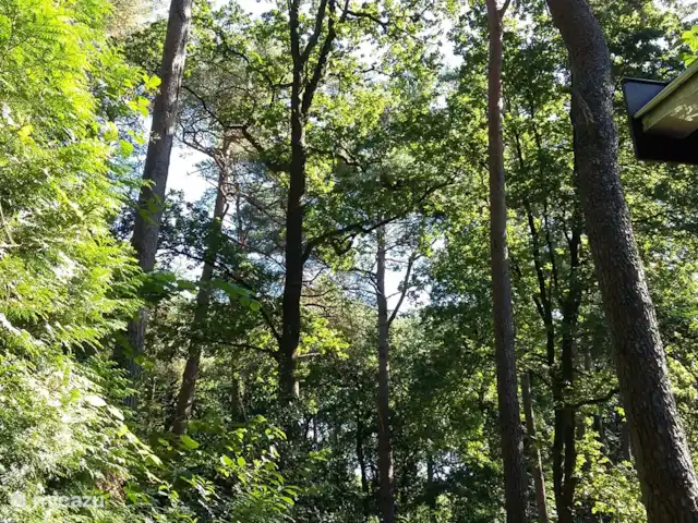 Location de Vacances Pays-Bas, Drenthe, Norg, maison de vacances - Maison de vacances Norg Drenthe À l'extérieur