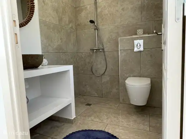 Oliveira en Francia, Costa Azul, Les Issambres - villa baño 2