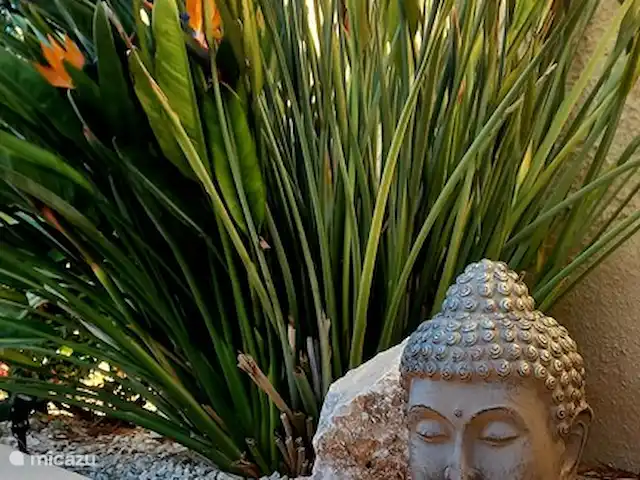 Casa Moon Benissa huren in Spanje, Costa Blanca, Benissa - villa De tuin