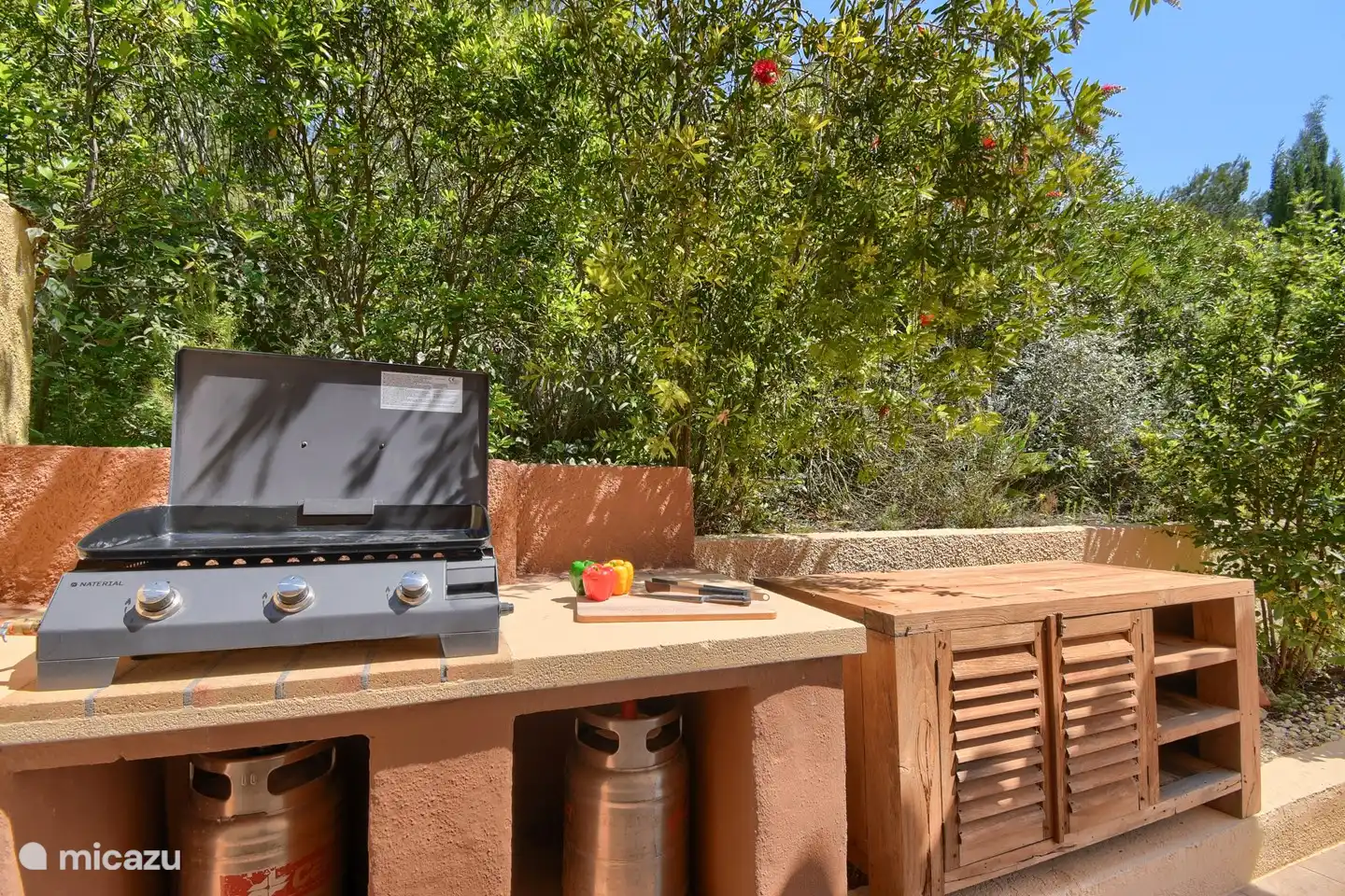 Cuisine extérieure avec Plancha (gaz)