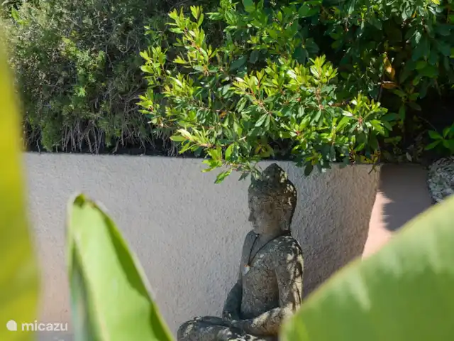 Villa Vida | Espagne, Costa Blanca, Jávea - villa L'une des statues de Bouddha qui veillent tranquillement sur le parc.