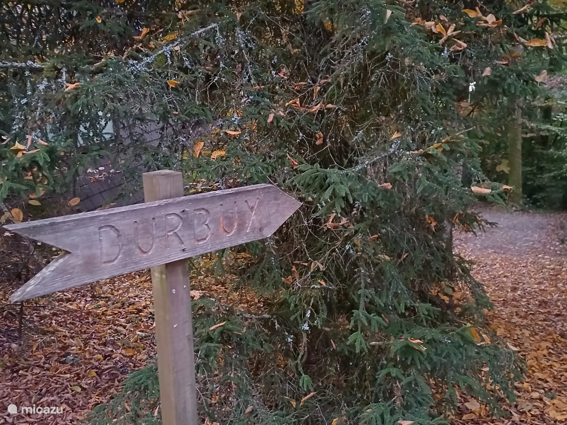 Ein malerischer Fußweg entlang des Flusses Ourthe, der in der Nähe des Chalets beginnt, führt Sie in das lebendige und historische Zentrum von Durbuy. (25 Minuten zu Fuß).