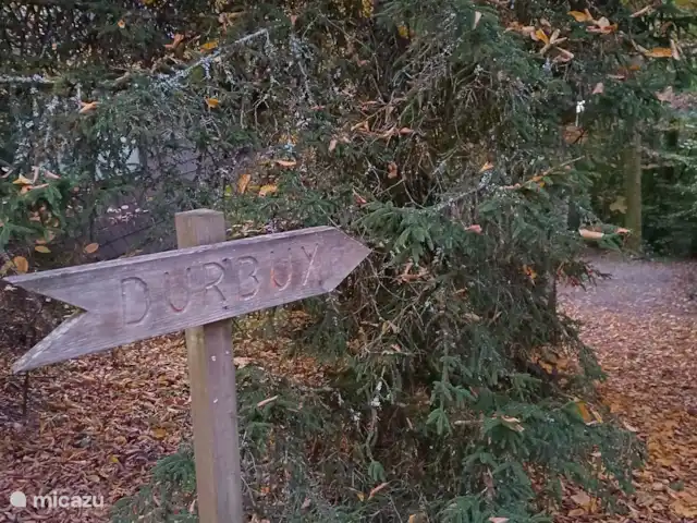 Location de Vacances Belgique, Ardennes, Durbuy, maison de vacances - Maison Tronchiennes Un sentier pittoresque le long de l’Ourthe, qui commence à proximité du chalet, vous emmène dans le centre animé et historique de Durbuy. (25 minutes à pied).
