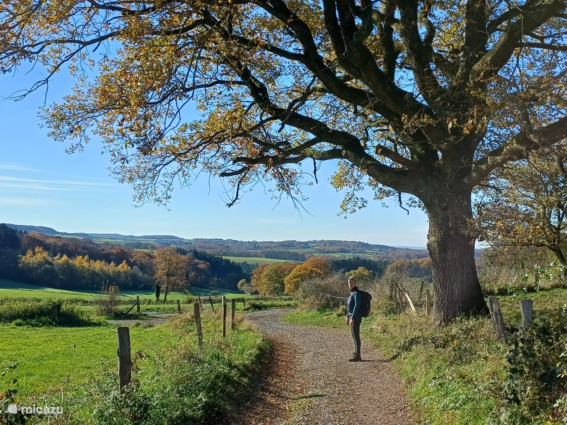 Wandeling vanuit deelgemeente Fanzel. Alle wandelingen in en rond Durbuy zijn terug te vinden in mijn wandelboek.