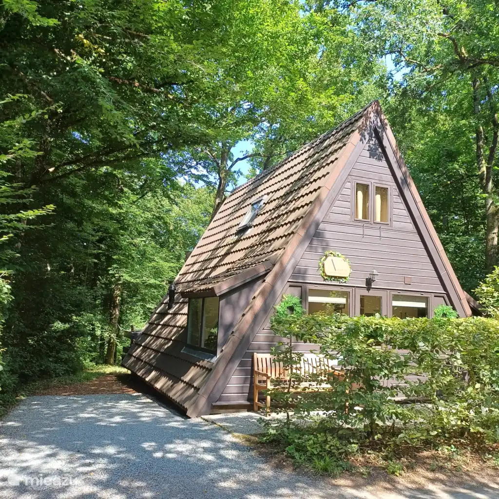 Maison Tronchiennes