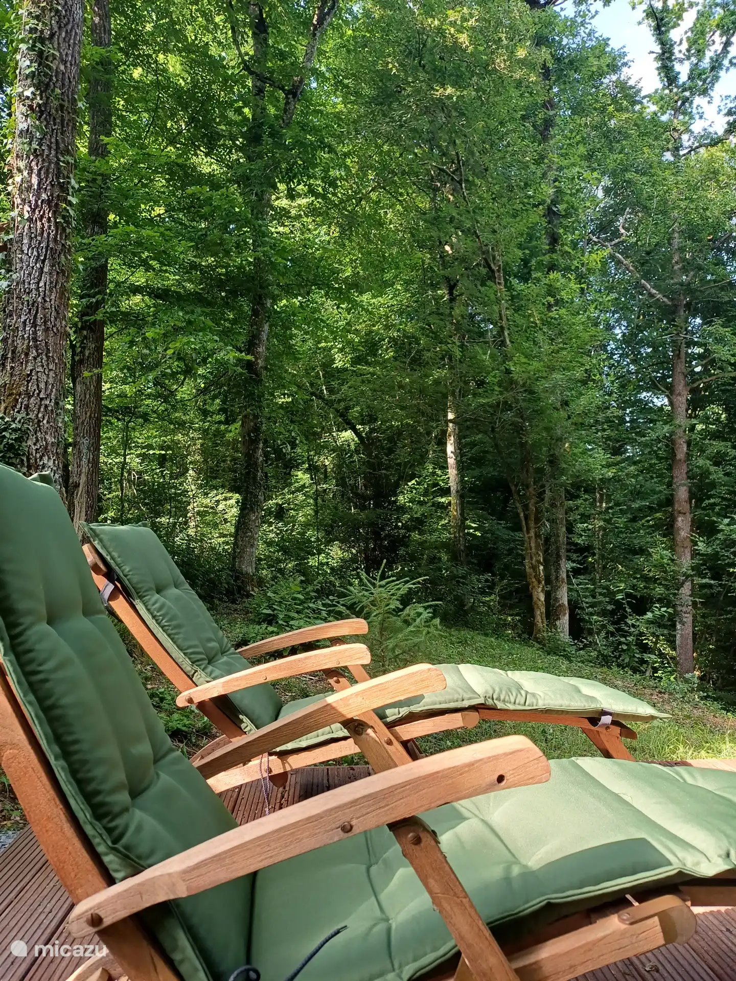 Ein zusätzlicher Platz im Hinterhof (dem Wald) mit 2 Liegestühlen, wo Sie die Ruhe genießen können!