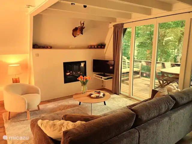 Location de Vacances Belgique, Ardennes, Durbuy, maison de vacances - Maison Tronchiennes Le salon avec cheminée à gaz intégrée.