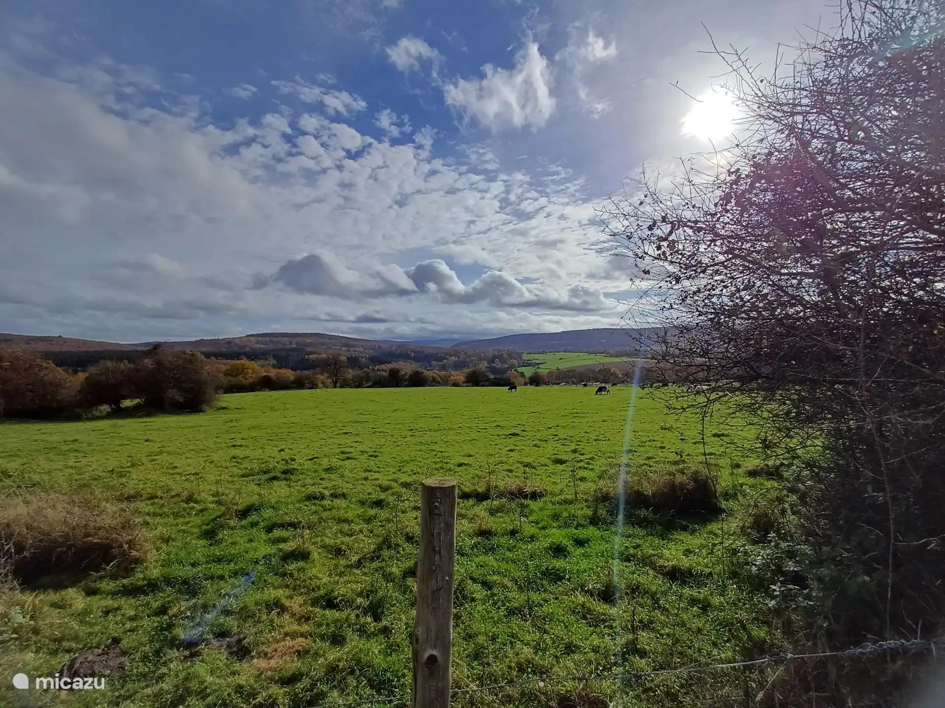 Ein Spaziergang voller Panoramablicke! Aufnahme am 3. November 2025 in Villers-Saint-Gertrude (Gemeinde Durbuy) 
