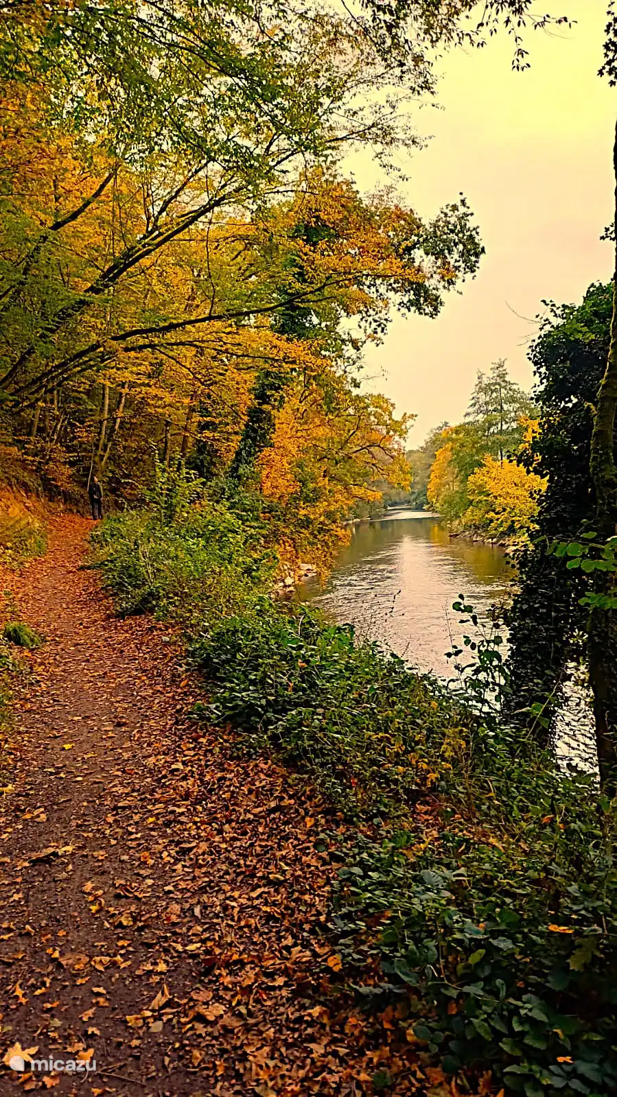 Der Weg entlang des Flusses Ourthe, der ins Zentrum von Durbuy führt. 
Foto aufgenommen am 12. Oktober 2025.