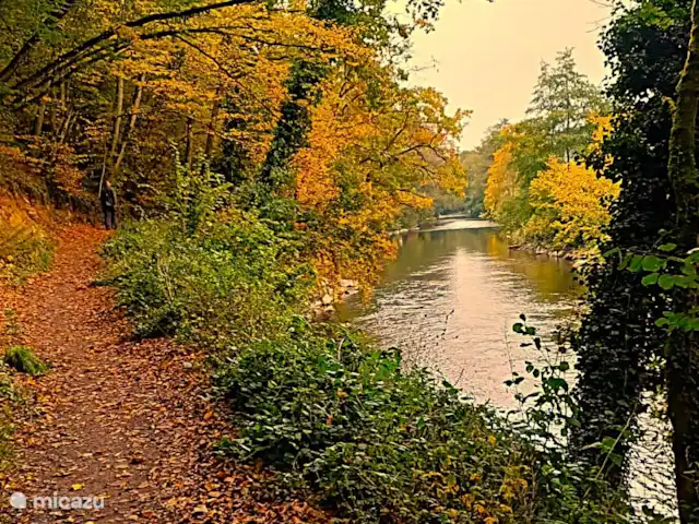 Location de Vacances Belgique, Ardennes, Durbuy, maison de vacances - Maison Tronchiennes Le chemin le long de l’Ourthe qui mène au centre de Durbuy. 
Photo prise le 12 octobre.