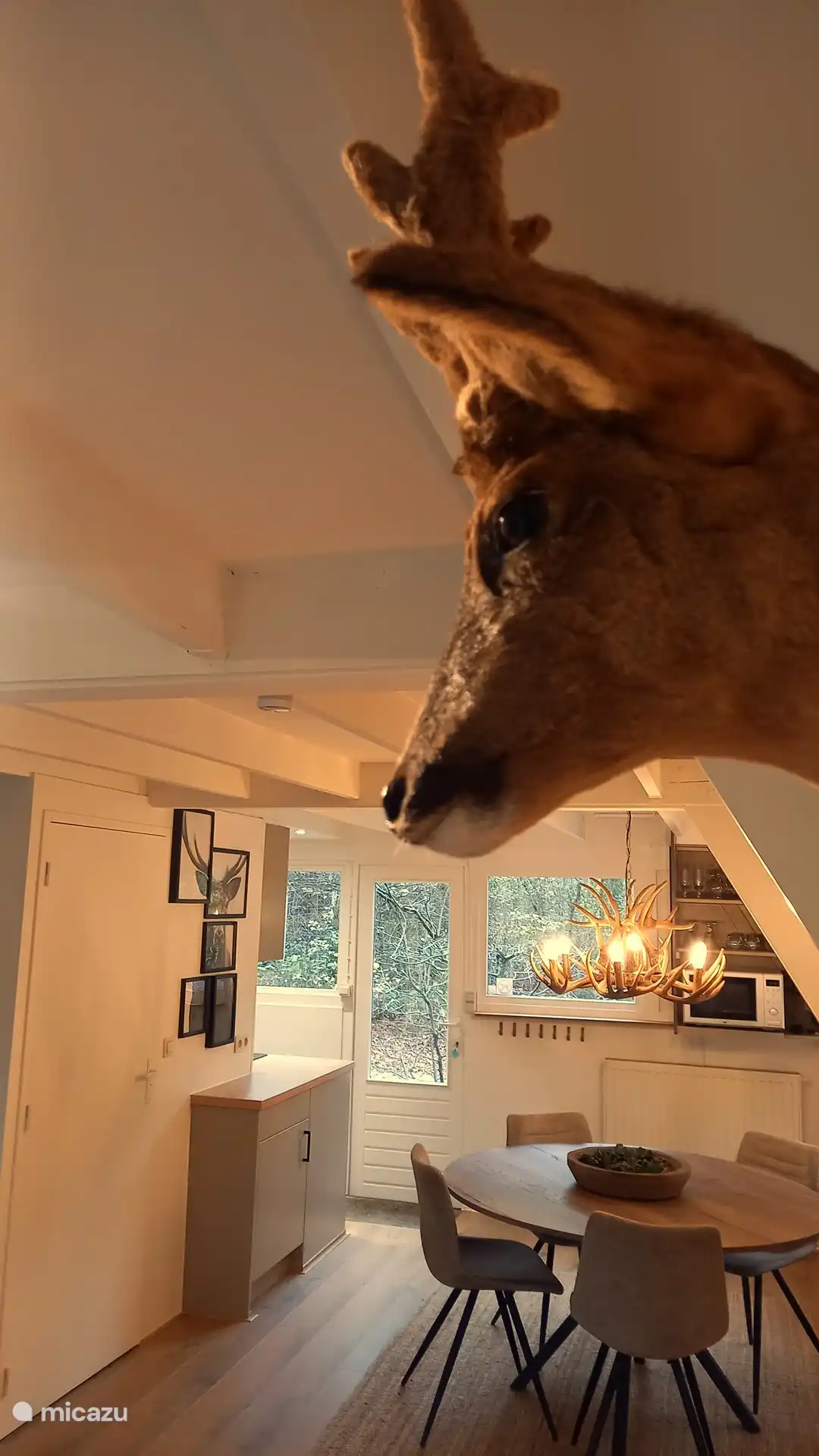 Unser Reh wacht über unser Ferienhaus!