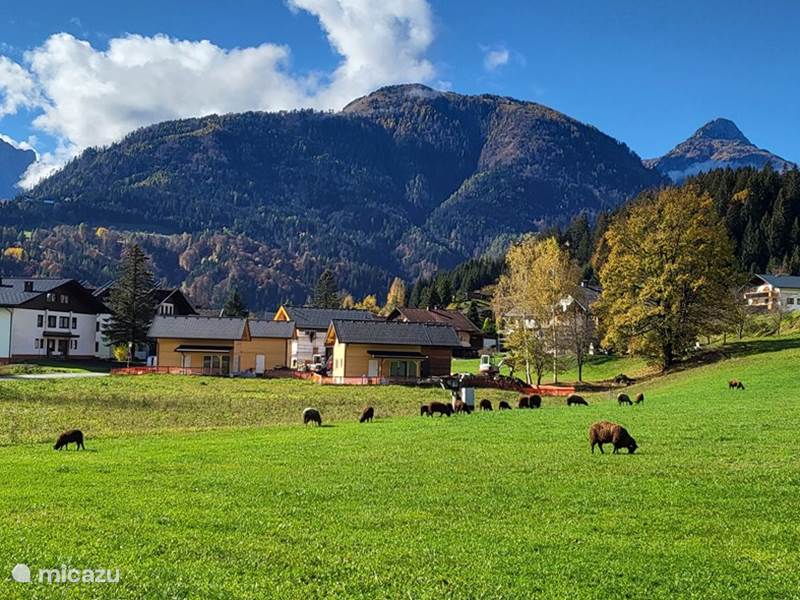 Ferienwohnung Österreich, Kärnten, Kötschach-Mauthen Ferienhaus Dijkstras Cottage mit Ladestation