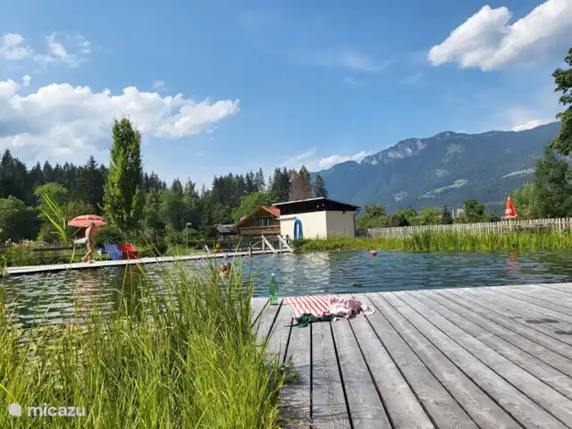 Dijkstra's Cottage met laadpaal huren in Oostenrijk, Karinthië, Kötschach-Mauthen - vakantiehuis