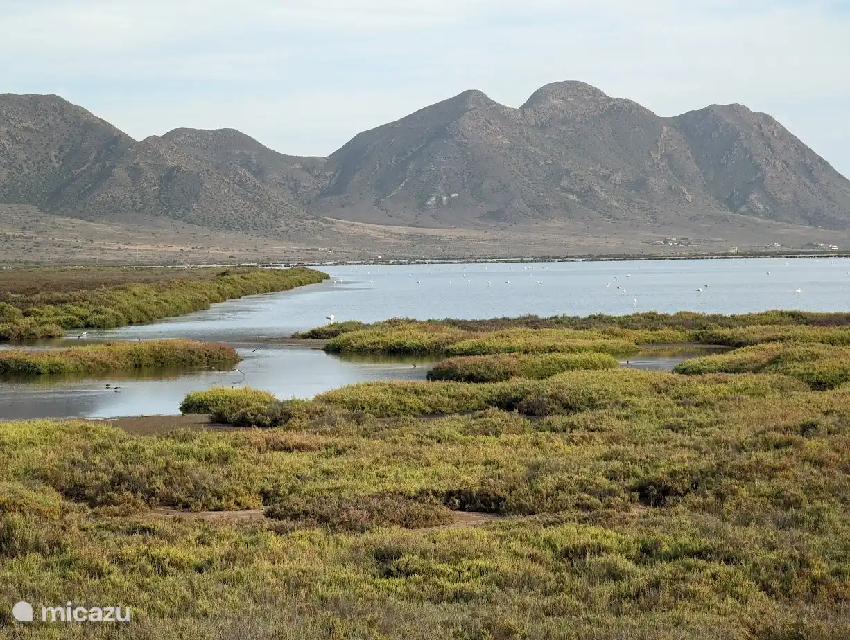 Lacs salés de Gabo de Gata