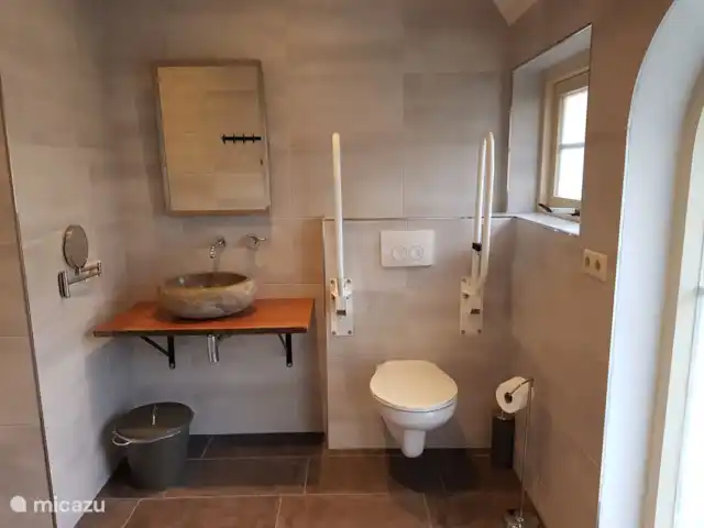 Boerderij de Reekamp huren in Nederland, Gelderland, Zelhem - boerderij Badkamer aangepast mindervaliden met douchestoel, toiletbeugels, kantelbare spiegels.