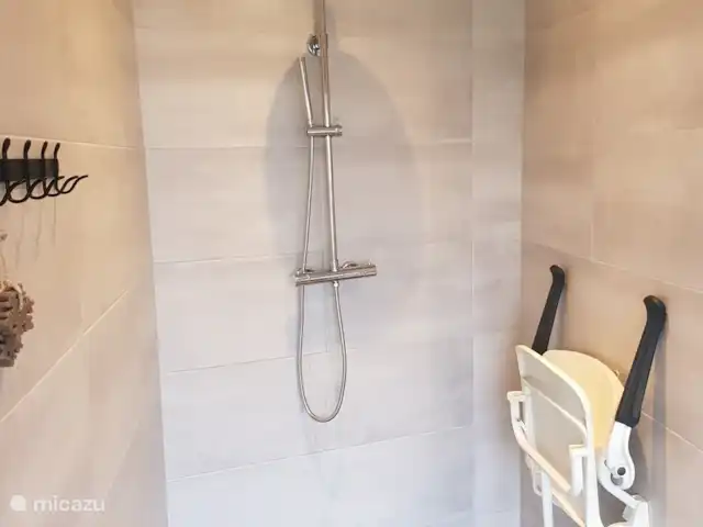 Boerderij de Reekamp huren in Nederland, Gelderland, Zelhem - boerderij Badkamer mindervaliden