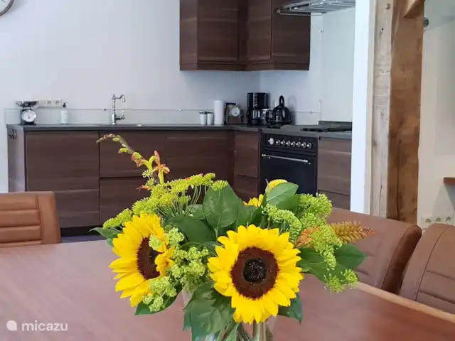 Boerderij de Reekamp huren in Nederland, Gelderland, Zelhem - boerderij Keuken