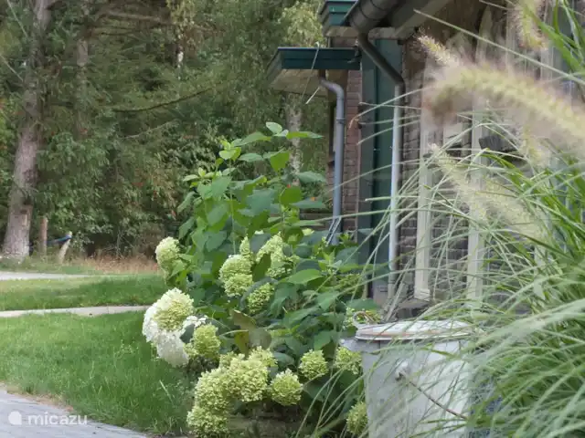 Boerderij de Reekamp huren in Nederland, Gelderland, Zelhem - boerderij Boerderij zij aanzicht