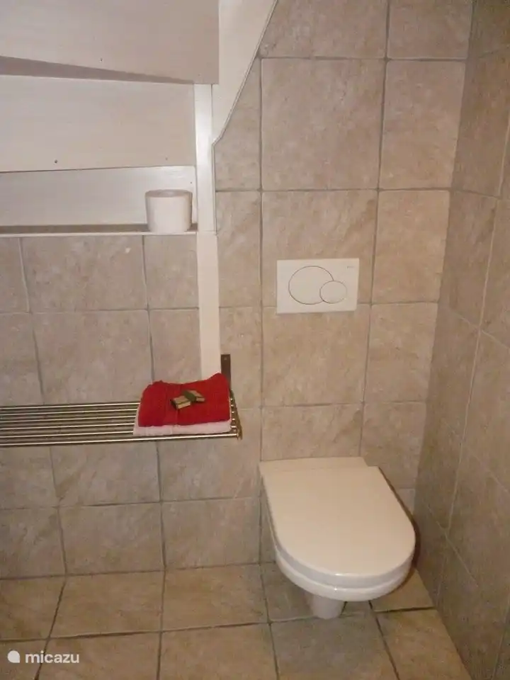 Bathroom downstairs