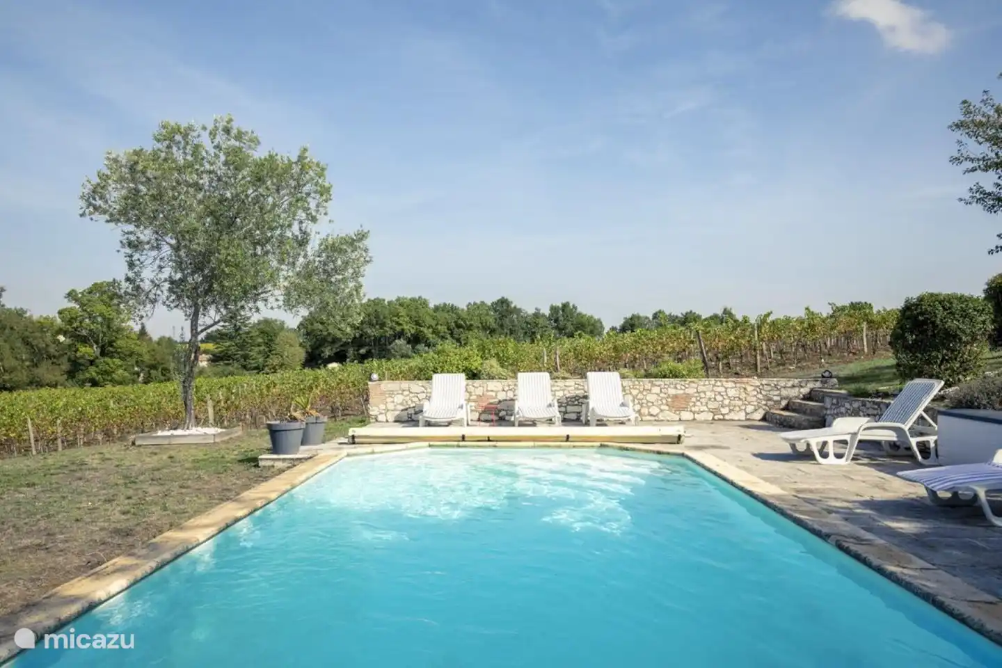 Sonnenliegen am Pool