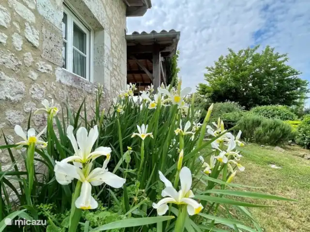 Vignefermé en Francia, Dordoña, Razac-de-Saussignac - casa vacacional Iris en el jardín