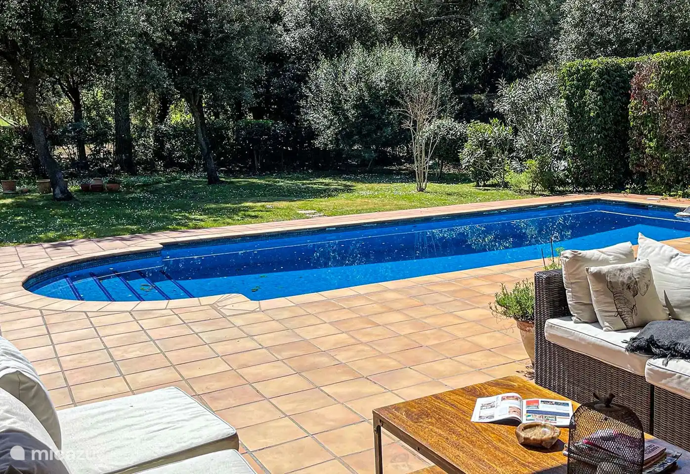 beautiful spacious garden, terrace and swimming pool