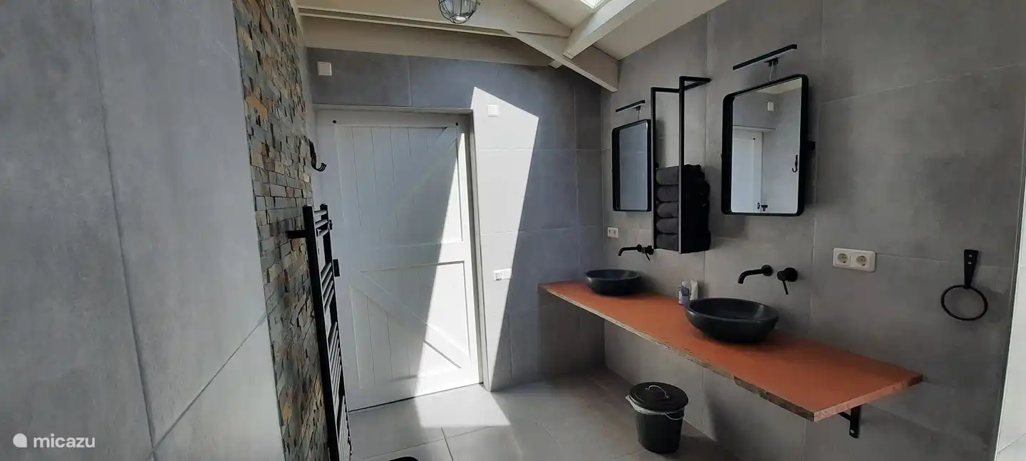 Badezimmer mit Duschstuhl, Toilettenhalterung, Kippspiegel.